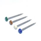 65mm Annular Stainless Ring Shank Nails With Plastic Head A4 Grade