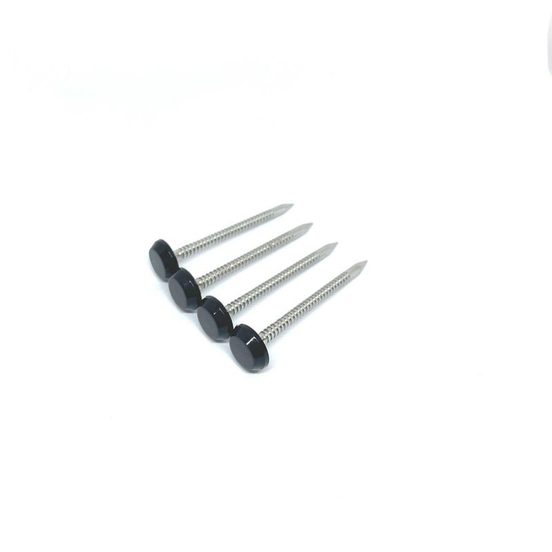 Annular Ring Shank Plastic Roofing Nails 50MM Polished SS316