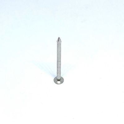 Vier Nägel des Höhlen-Schaft-flache Kopf-2.8X30MM des Edelstahl-A4 für Holz