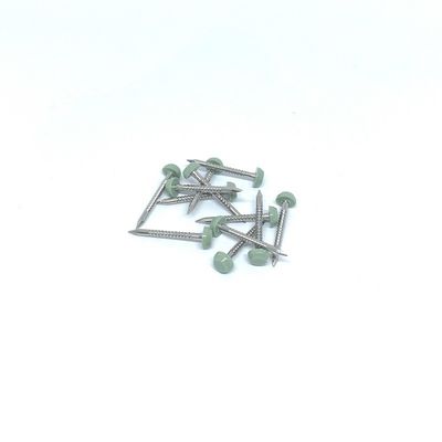 Haifisch-Punkt-ringförmige Ring Nails Fors UPVC SS316 25MM Platten