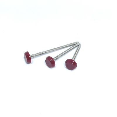 65MM Edelstahl A2 ringförmiger Ring Nails Nylon PA6
