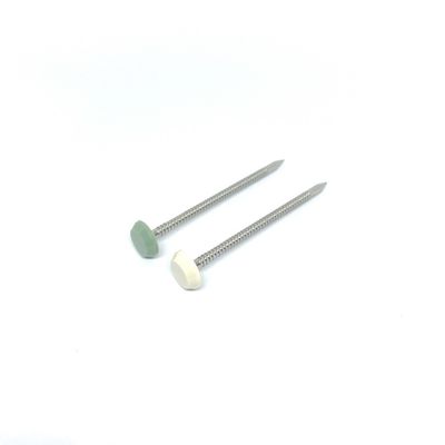 Edelstahl-wartungsfreies Plastik vorangegangen nagelt Nylon-Länge PA6 50MM