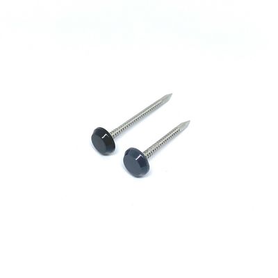 Grauer Plastikkopf SUS316 nagelt mit ringförmigem Ring Shank Shark Point