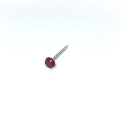Antiberingter 40MM Plastikhauptuvnagel Diamond Point des Edelstahl-A4