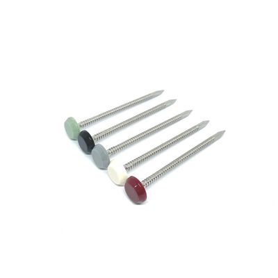 65MM Längen-Nylonplastikhauptnägel mit beringtem Schaft