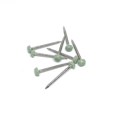 Edelstahl A2/A4 Ring Shank Plastic Head Nails 2.0X30mm
