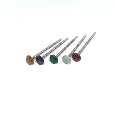 Ringförmiger Edelstahl-Polykopf der Nut-316 nagelt 50MM Länge