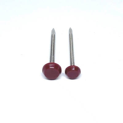 Ring Shank Plastic Head Nails für Edelstahl des Bau-50mm der Längen-A4