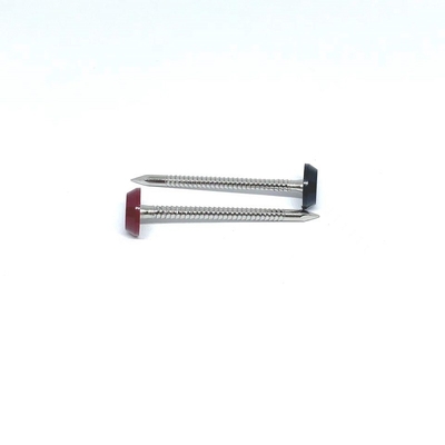 Ringförmiger Ring Shank Plastic Head Nails für Deckung 3.0X50MM