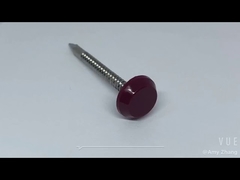 Edelstahl-Kunststoffkopf-Nagel