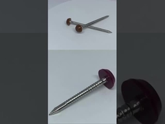 Bauwerk Edelstahl Kunststoff Kopf Nägel / Pins SUS316 Poly Top Pins 30mm
